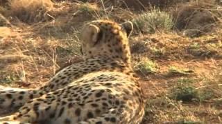 Afrique du Sud