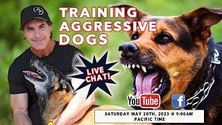 Aggressive Dog Training