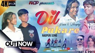 Dil Pukare || दिल पुकारे|| Singer  - Vinay Kumar $ Priti Barla || New Nagpuri Song 2024 ||