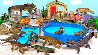 Crocodiles, Alligators, Reptiles, Gators, Crocs, Caiman, Gharial, Ancient Crocodilians