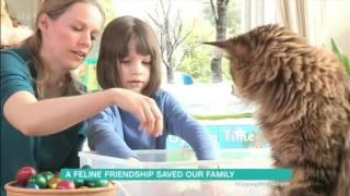 Maine Coon Cat Helps Autistic Girl Overcome Her Fear of Water - ITV 15-06-2016