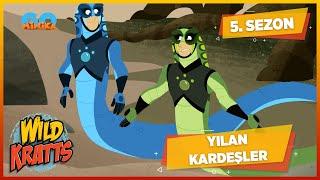 Kratt Kardeşler | Yılan Kardeşler  | MinikaGO