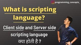 What is scripting language? || what is client side and server side scripting languages kya hoti hai?