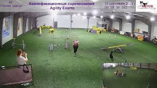 Квалификационные испытания Agility Exams. Аджилити / Agility. Спорт с собакой. Dogs