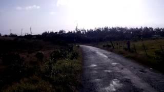 Farmers/Airy Cot St Thomas (Barbados)