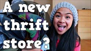 22 Items for $5.46 Thrift Haul +  Try-on | Camille