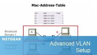 Advanced VLAN Setup | Business