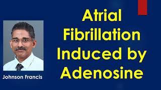 Atrial Fibrillation Induced by Adenosine