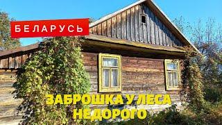 КРЕПКАЯ ХАТА У САМОГО ЛЕСА | ПРОДАЖА НЕДОРОГОГО ДОМА в Беларуси | ОБЗОР дома НА ПРОДАЖУ