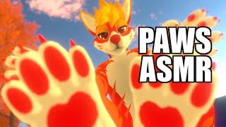 [Furry ASMR] Comforting you while rubbing my footpaws/ paws  (Scratching, tapping ..) 