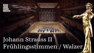  Johann Strauss II: Voices of Spring / Waltz op. 410 | #NYC2024 | #NewYearsConcert | WJSO_at 