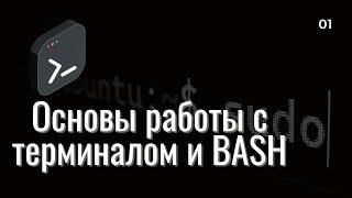 Основы работы с терминалом и BASH | Основные команды терминала. Первый скрипт на BASH.