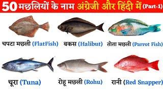 Fish Name in English & Hindi | Fish Name | Name of Indian Fish | Ranjeet Rana