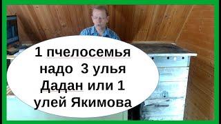 Какой улей начинающему пчеловоду - Сравнение объёма и стоимости улья Дадан и улей-лежак Якимова