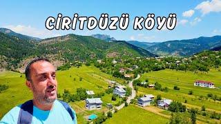 Ciritdüzü Köyü | Yeşilin KIRK Tonu