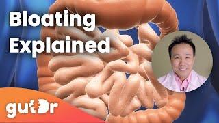 Bloating | The GutDr Explains (3D Gut Animation)