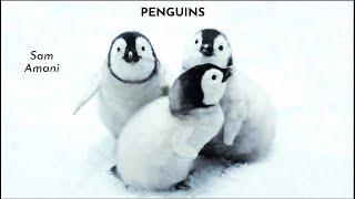 What is penguin?