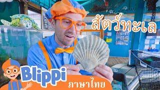 Blippi ไทย | รู้จักสัตว์ใต้น้ำไปกับบลิพปี้ | วิดีโอการเรียนรู้สำหรับเด็ก