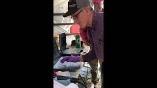 Miniature Hereford Ultrasound Day
