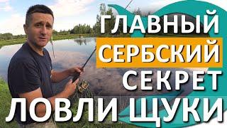 Главный СЕРБСКИЙ СЕКРЕТ ловли Щуки.  Рыбалка с Деки Орка