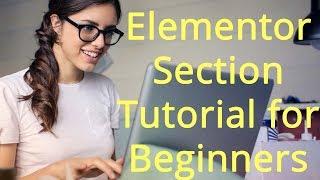 Elementor Beginner Series 1 - How to Move, Duplicate, Save, and Delete Sections
