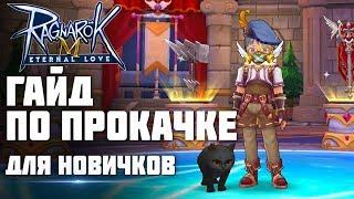 Гайд по быстрой прокачке в Ragnarok M: Eternal Love для новичков. Секретные квесты.