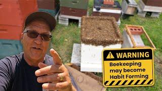 HoneyBeeMade Beekeeping "LIVE" Video