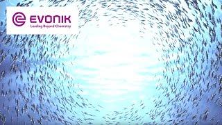 Evonik in three minutes | Evonik