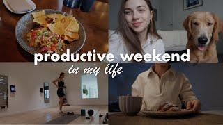 Productive weekend // how I learn English, dog classes, progress with our golden retriever puppy