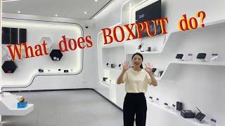 What Does BOXPUT Do?  | Android TV Box | TV Stick | Remote Control Supplier