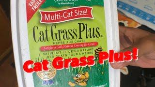 How Do You Use Cat Grass Plus?