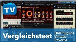 Test - Universal Audio AMS RMX 16 & Lexicon 224, Relab RX480, Valhalla Vintageverb - deutsch