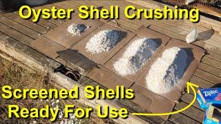 Oyster Shell Crushing Machines - Crushing and Grinding Shells with Jaw Crusher and Hammer Mill