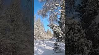 A relaxing walk through a snowy park. Sound of footsteps on snow. Bishkek, Kyrgyzstan
