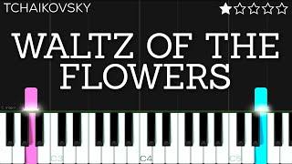 Tchaikovsky - Waltz of the Flowers | EASY Piano Tutorial