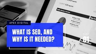 SEO Freelance Consultants | Apex Digital