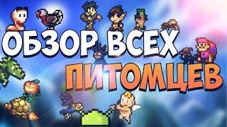 ОБЗОР ВСЕХ ПИТОМЦЕВ // TERRARIA MOBILE