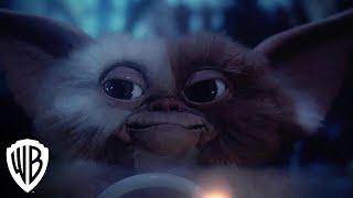 Gremlins | Digital Trailer | Warner Bros. Entertainment