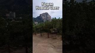 Отдых в Крыму. Новый Свет.