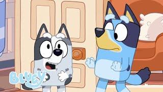 LIVE: Full Episodes from Series 1 | Bluey