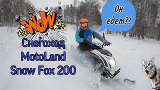 Китайский снегоход MotoLand Snow Fox 200. ОН ЕДЕТ?!?!