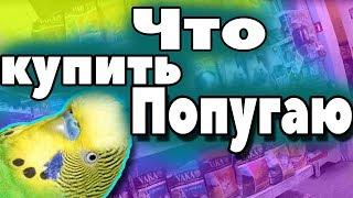 ЗООМАГАЗИН! Что купить ВОЛНИСТОМУ попугаю в первую очередь