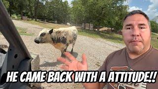 Running Out Of Options With This Bull!! Bushwacker Is Out Of Control!!