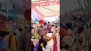 Dastar Camp  #shorts #pagg #shortsfeed #turban #youtubeshorts #viralshort #trending #new #top .