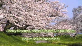 Japanese Folk Song #9: Cherry Blossoms （さくらさくら/Sakura Sakura）