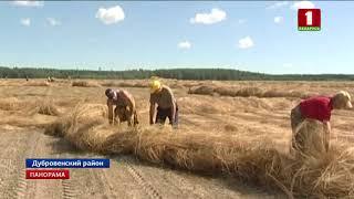 Помощь аграриям оказывает Федерация профсоюзов Беларуси. Панорама