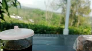 bokeh no blur rekam di gunung- bokeh background video full 2024 #bokeh #bokeheffects