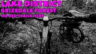 Lakes MTB - Grizedale 'No Red Trails Here'