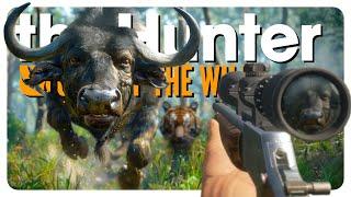 Hunting BUFFALO while being HUNTED! (ᵗʰᵉʸ ᶜᵃˡˡ ᵐᵉ ᵗʰᵉ ᵗᶦᵍᵉʳ ᵗᶦᶜᵏˡᵉʳ) | theHunter: Call of the Wild