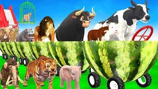 Guess The Right Animal Cage Elephant Cow Tiger Hippo Buffalo Paint Animal Long Slide Fountain Cross